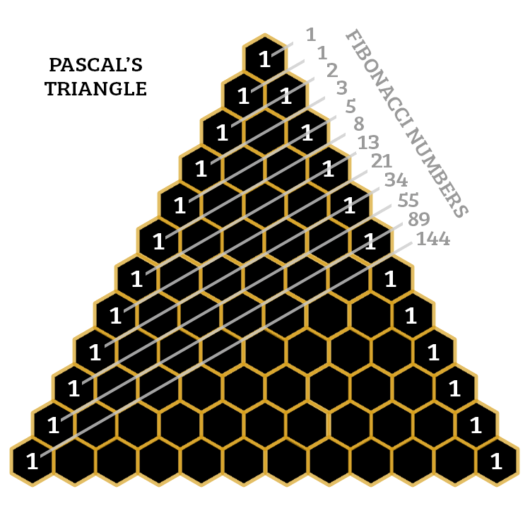 Pascals Triangle Animated